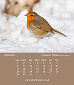 photo by Oliver Smart